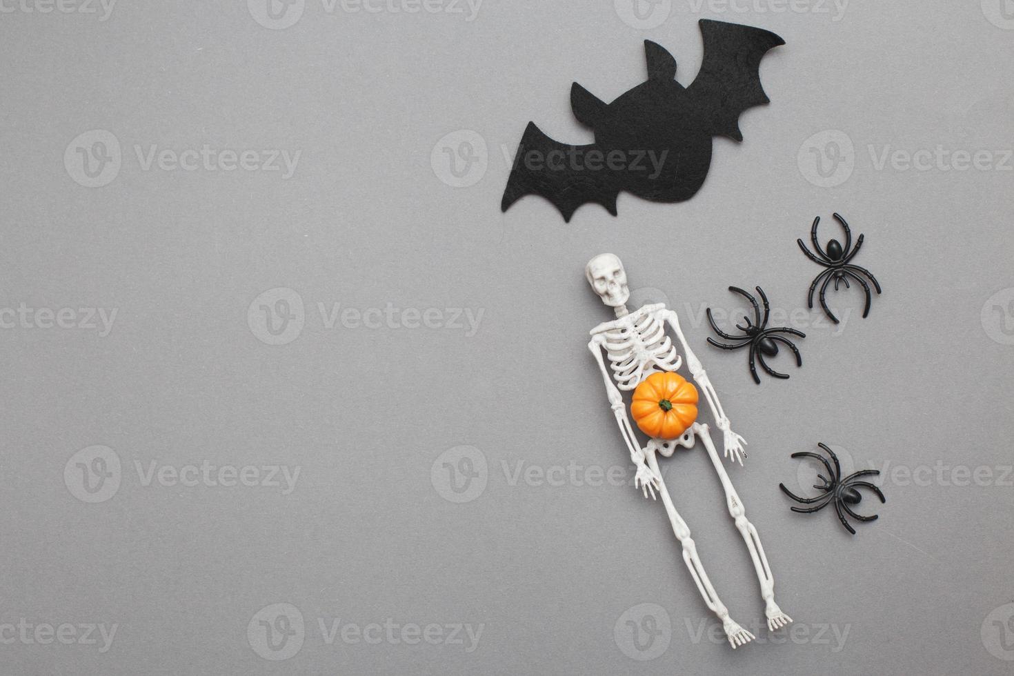 skeleton with pumpkin, bat and black spiders on a grey background. halloween concept photo