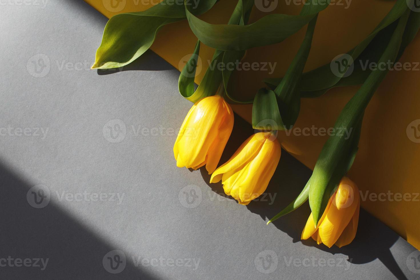Yellow tulips on a yellow and gray background in a hard light. View from above. photo