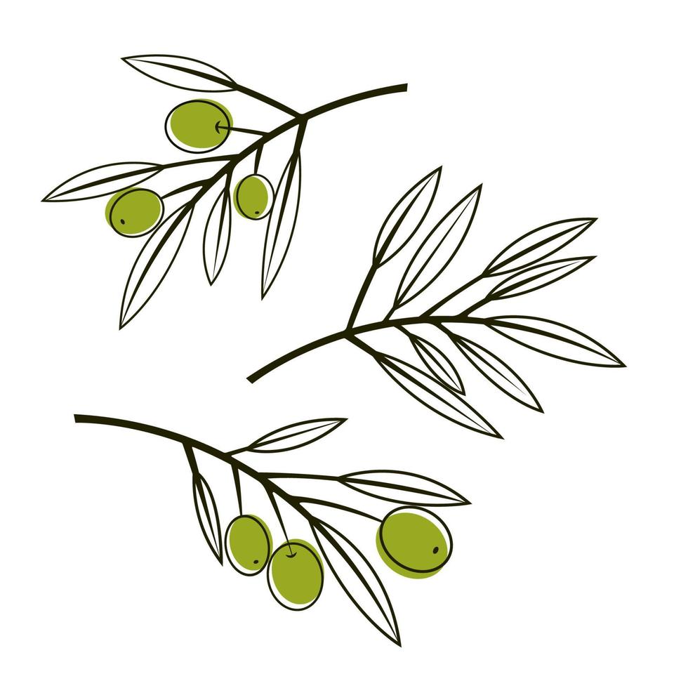 Set of olive branches in a modern lineart style isolated on white background. Vector illustration