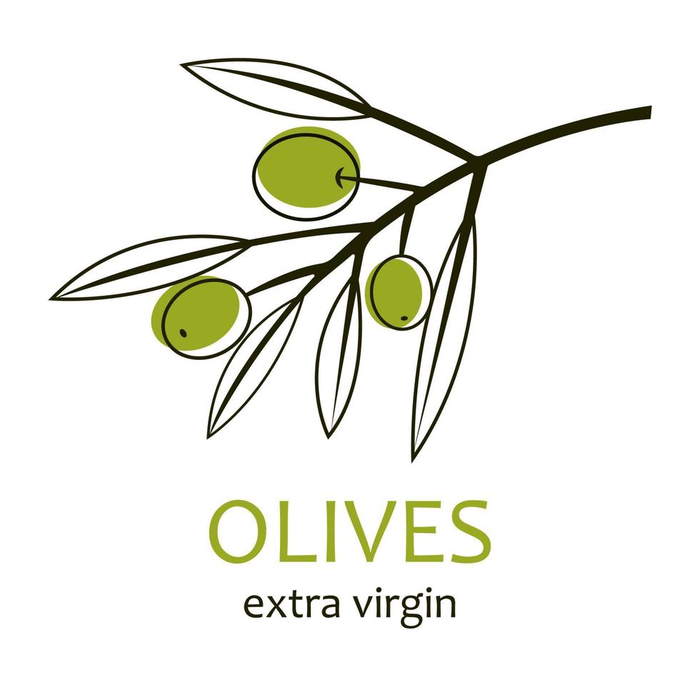 Vector hand drawn olives icon badge in lineart style for brochures, banner, restaurant menu and market.