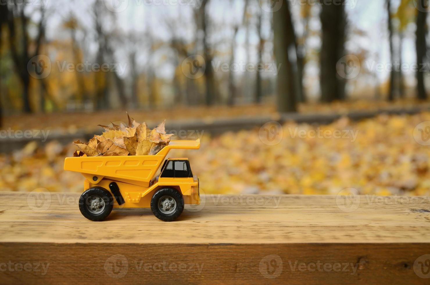 The concept of seasonal harvesting of autumn fallen leaves is depicted in the form of a toy yellow truck loaded with leaves against the background of the autumn park photo