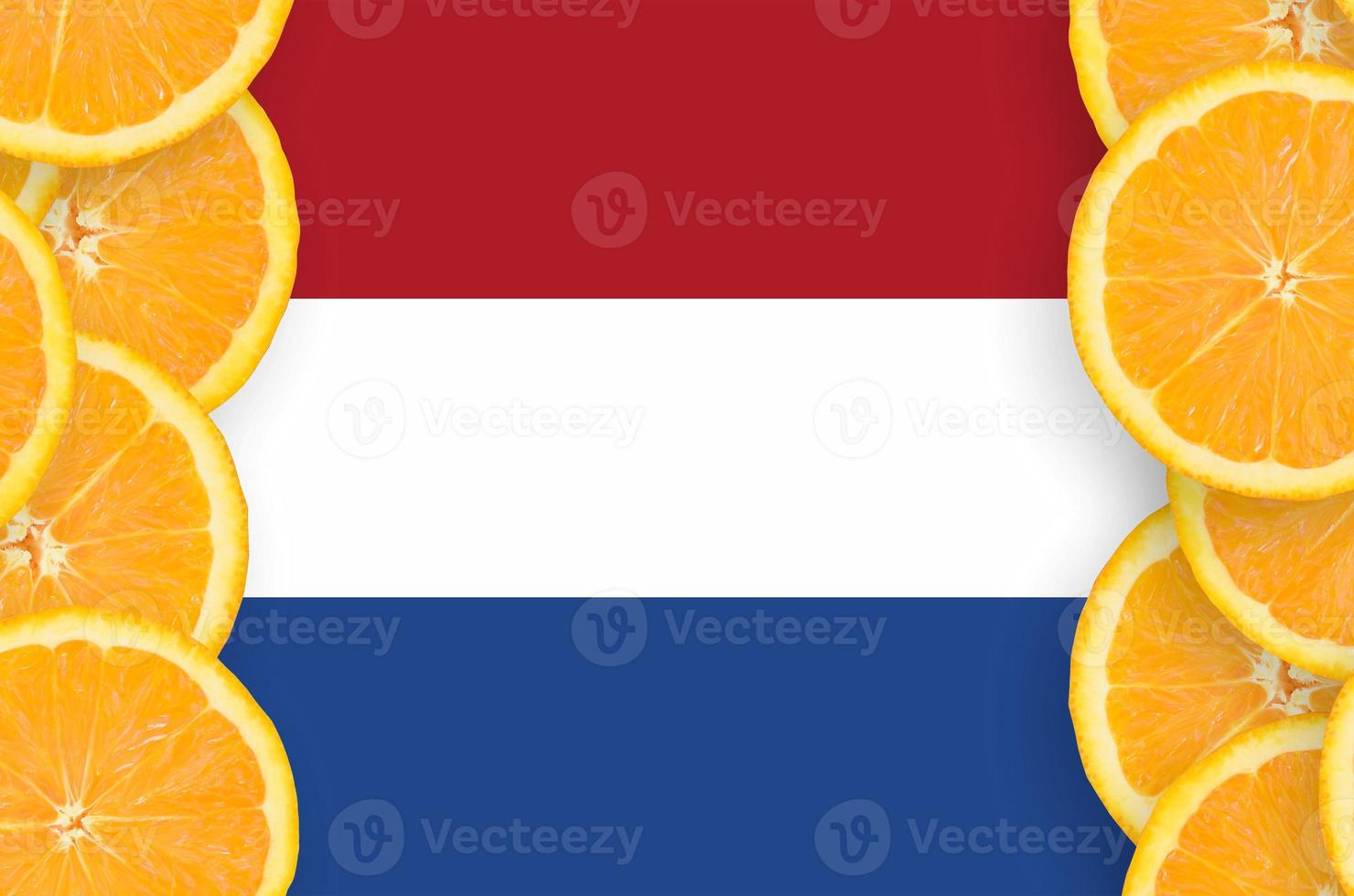 Netherlands flag in citrus fruit slices vertical frame photo