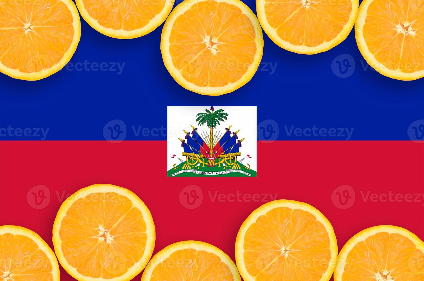 Haiti flag in citrus fruit slices horizontal frame photo
