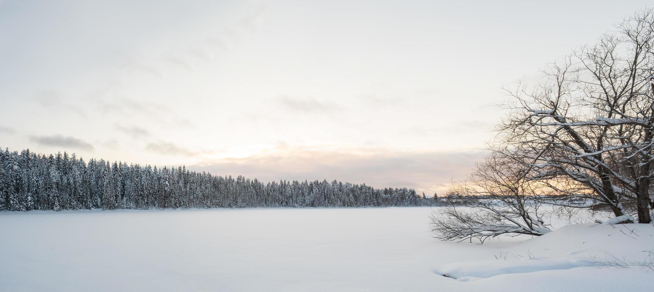 Large frozen lake, covered with snow, against the background of a beautiful snowy forest and sky, at sunset. Wonderful winter landscape. photo