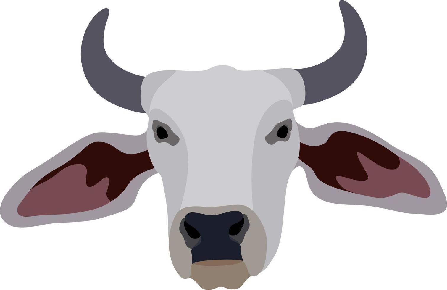 Zebu bull. Brahman cattle. Vector illustration. White male Indian cow. A symbol for Indian religious festivals