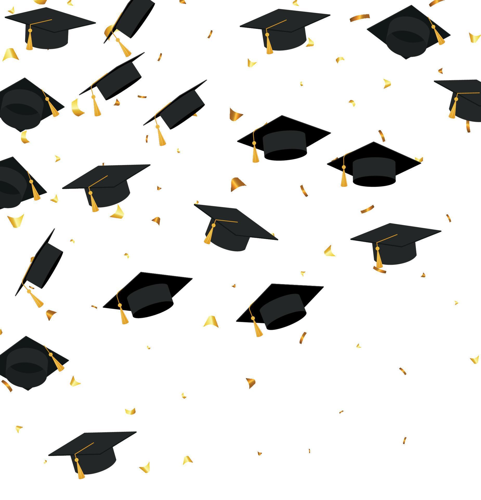 Graduation. Transparent background with realistic flying black degree