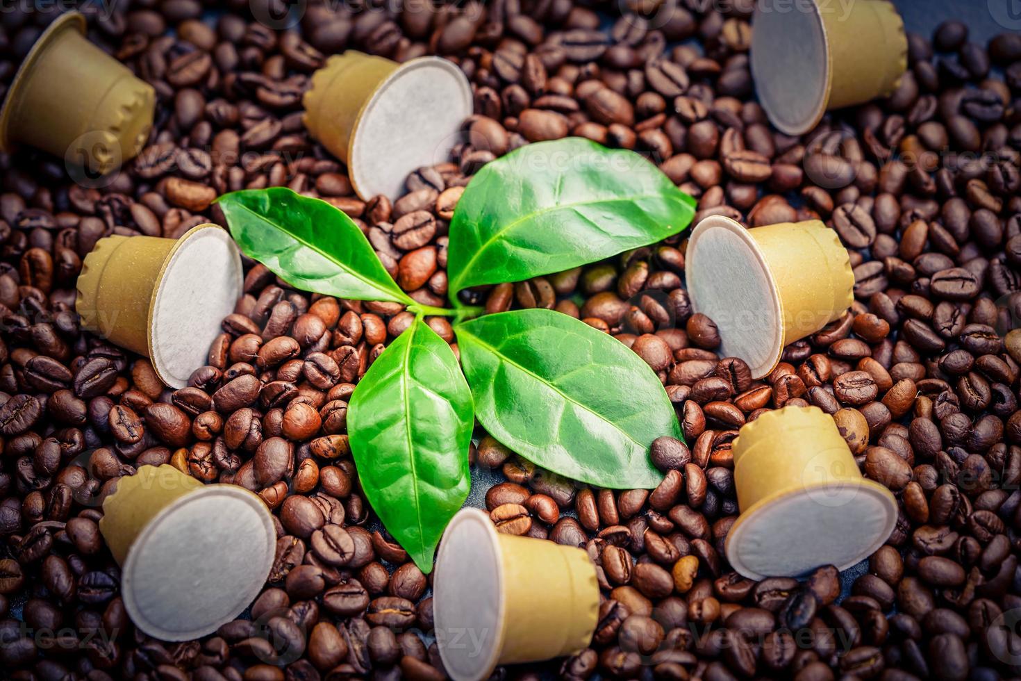 freshly roasted brown coffee beans photo