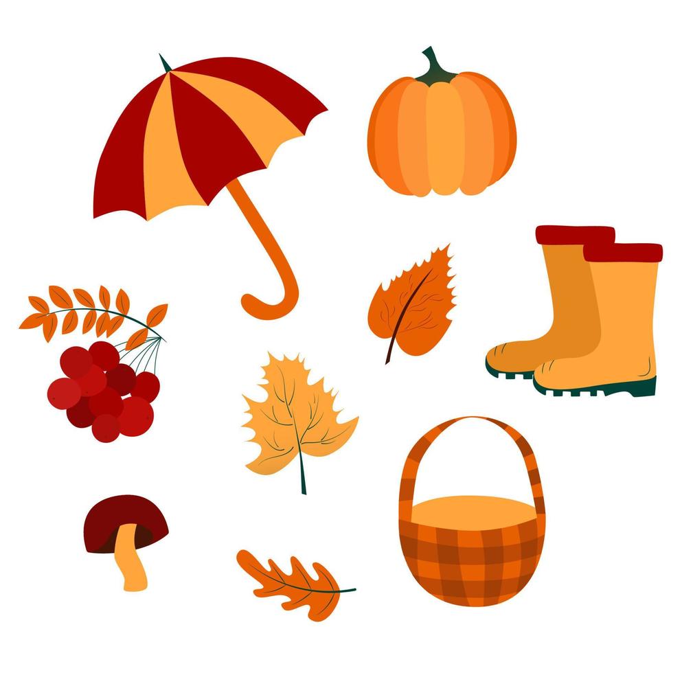 Set of autumn elements vector