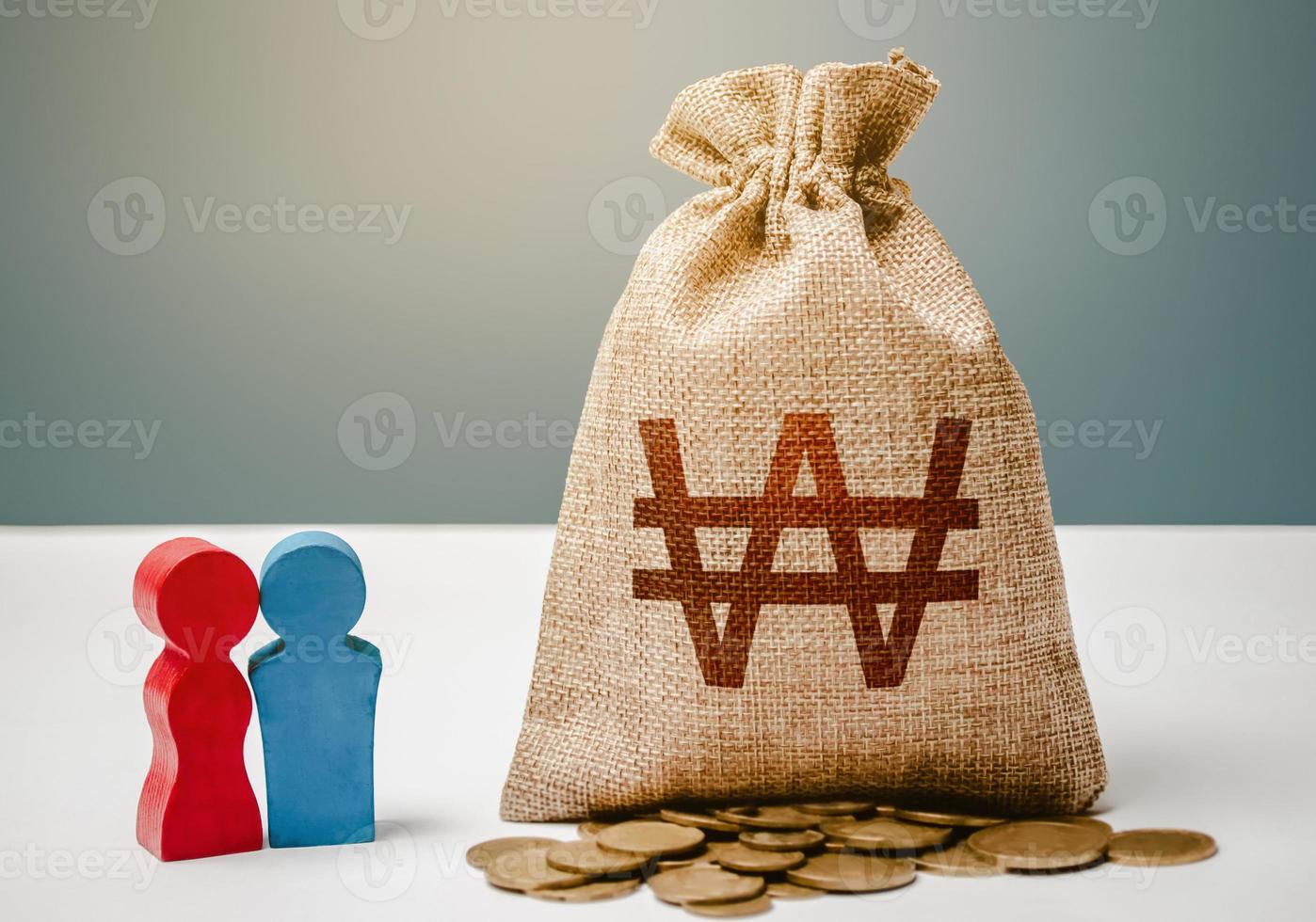 figuras de pareja y bolsa de dinero en won surcoreano. presupuesto. investigación social, preferencias del consumidor. segmentación. subvención demográfica. inversiones. política social para fomentar la creación de familias. foto