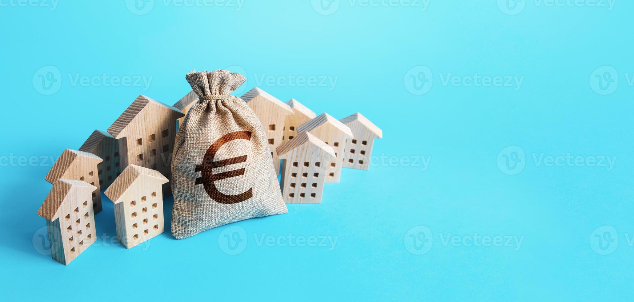 Euro money bag surrounded by houses. Buying apartments. Real estate investment. Mortgage loan. Budget and funding. Construction industry. Property insurance. Housing appraisal. Valuation estimation photo