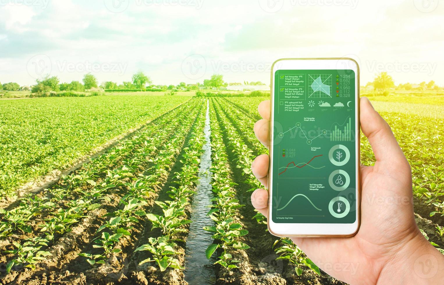 Innovative technologies in agriculture. The use of Internet of Things technologies in farming. Increase crop efficiency and quality, reduce greenhouse gas emissions and harm the environment. photo