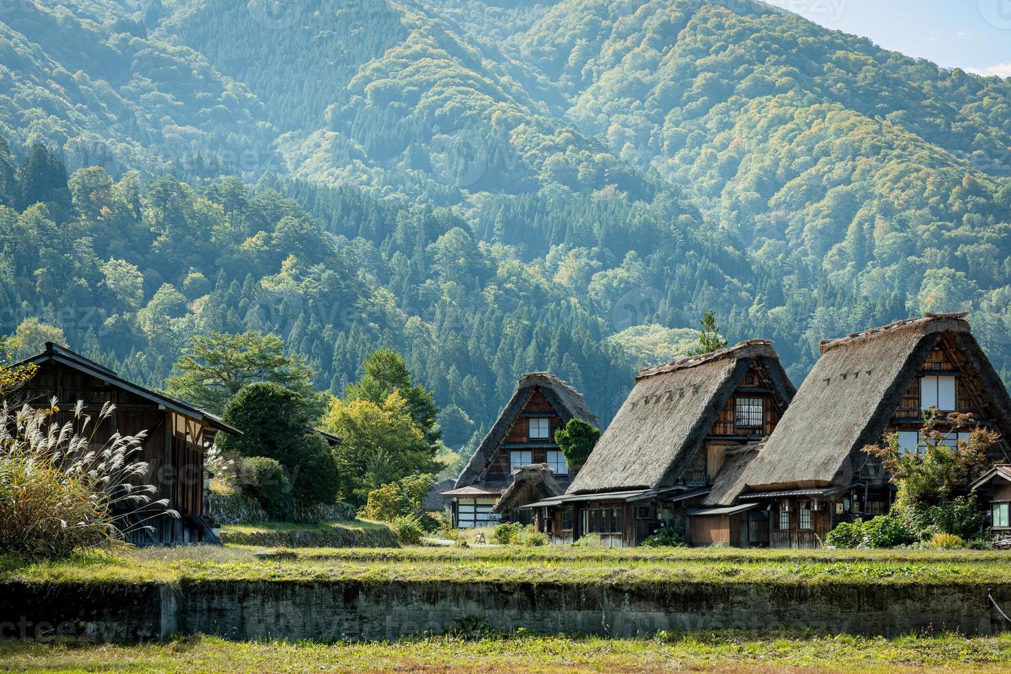 Japanese Shirakawago village during October in autumn fall foliage season. Shirakawa traditional house on triangle roof with a background of rice field, pine mountain and clear cloud sky after. photo