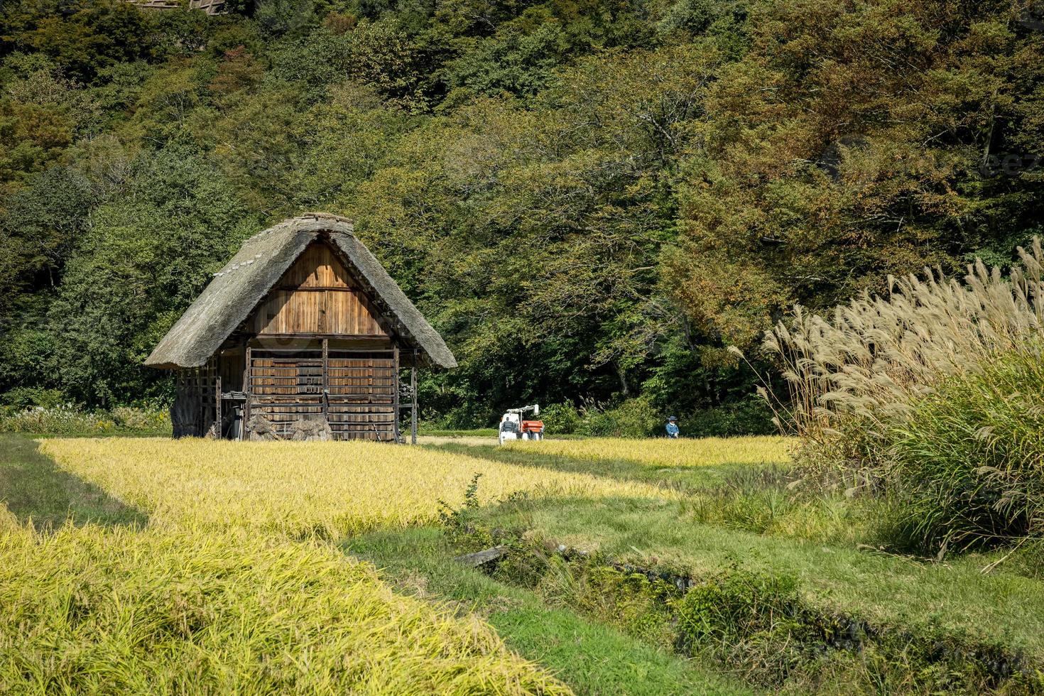 Japanese Shirakawago village during October in autumn fall foliage season. Shirakawa traditional house on triangle roof with a background of rice field, pine mountain and clear cloud sky after. photo