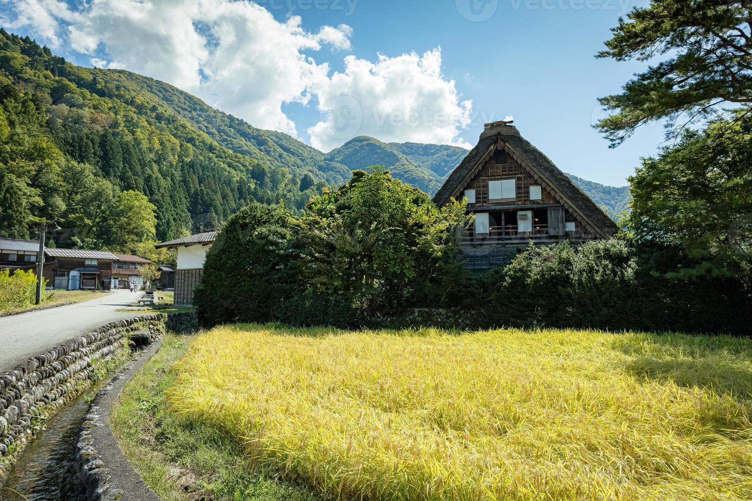 Japanese Shirakawago village during October in autumn fall foliage season. Shirakawa traditional house on triangle roof with a background of rice field, pine mountain and clear cloud sky after. photo