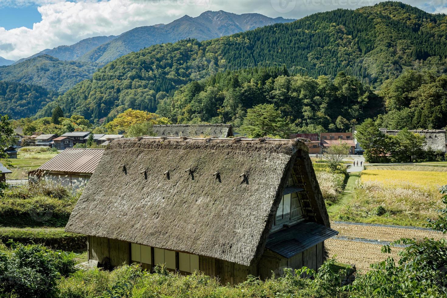 Japanese Shirakawago village during October in autumn fall foliage season. Shirakawa traditional house on triangle roof with a background of rice field, pine mountain and clear cloud sky after. photo