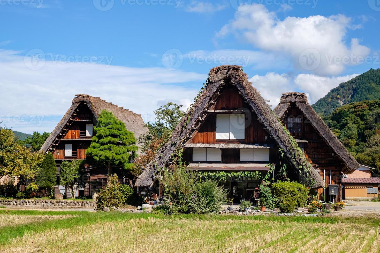 Japanese Shirakawago village during October in autumn fall foliage season. Shirakawa traditional house on triangle roof with a background of rice field, pine mountain and clear cloud sky after. photo