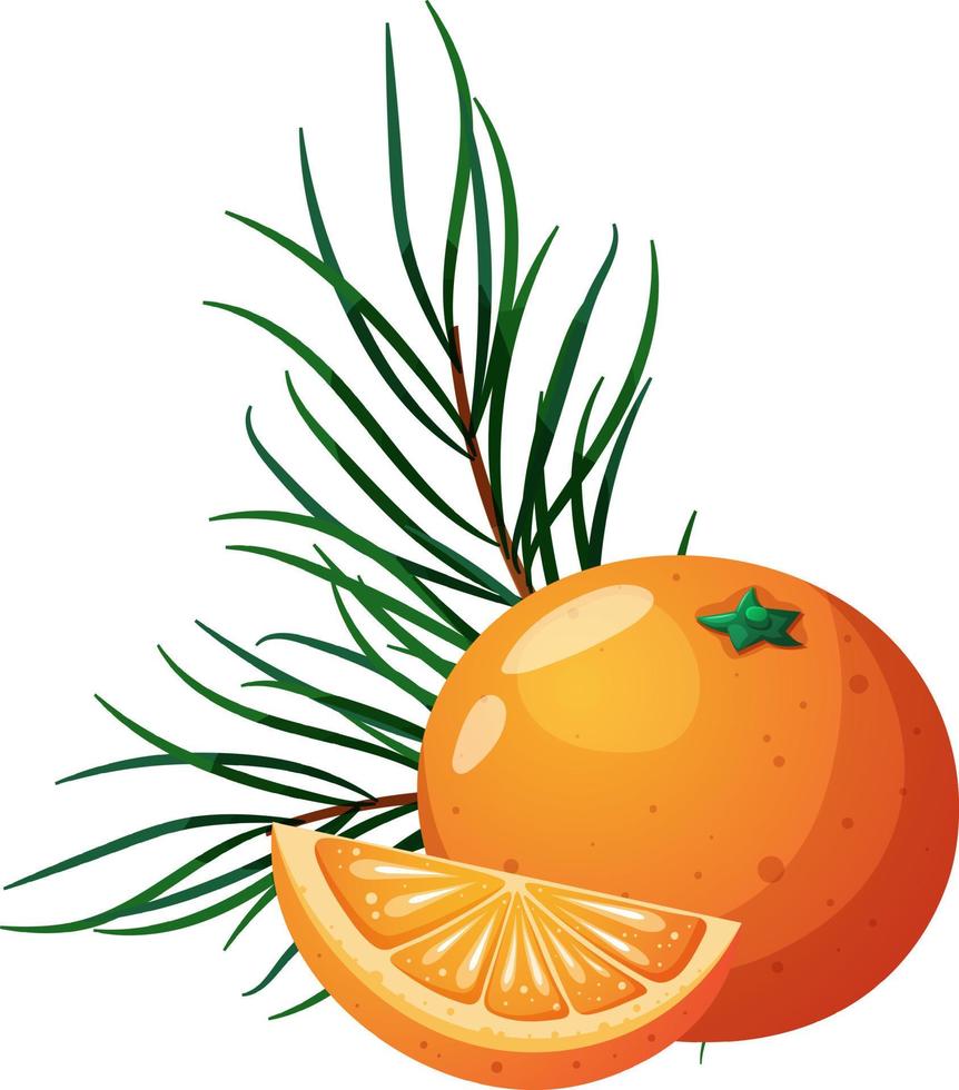 rama de árbol de navidad con naranja y rodaja vector