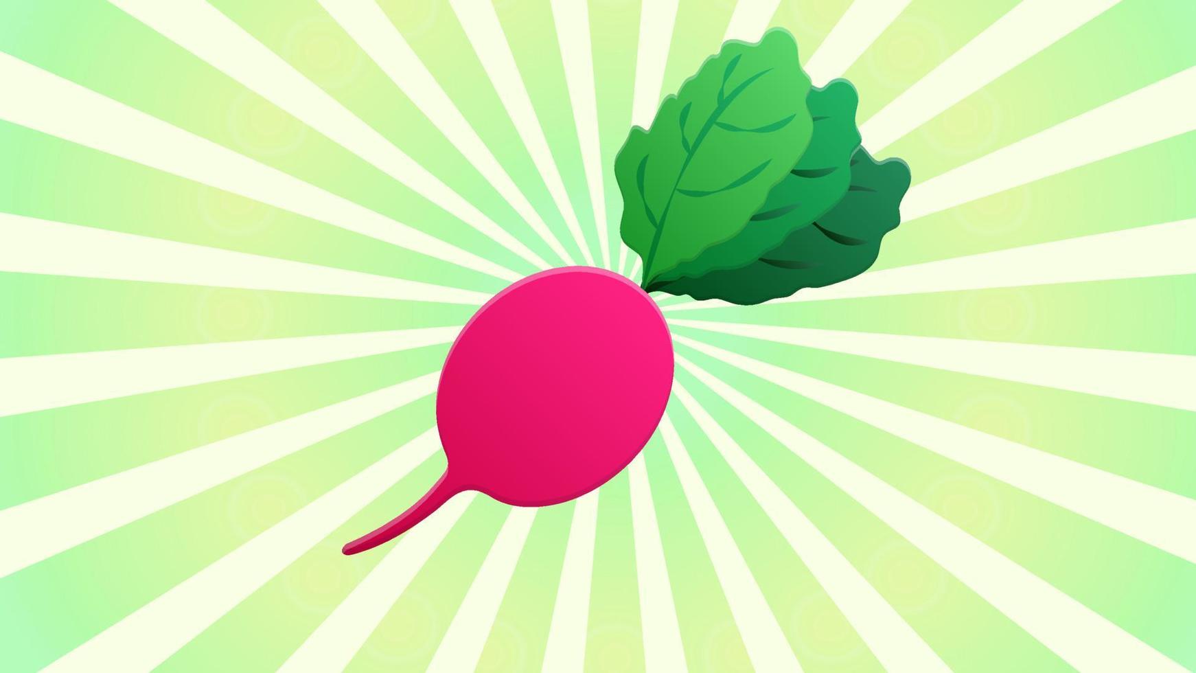 radish on a white-green retro background, vector illustration. orange oblong radish, a healthy vegetable for salads. healthy food for weight loss. natural farm product. vegetables from the garden