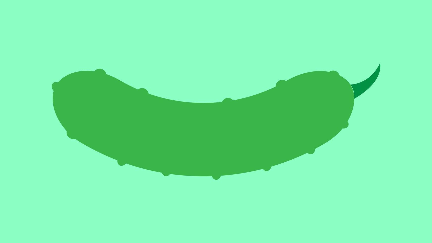 fresh cucumber vegetable isolated icon. cucumber for farm market, vegetarian salad recipe design. Vector illustration in flat style