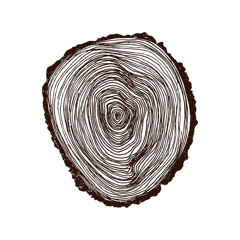 Wooden cross section. Vector wood texture wavy ring pattern of a slice of wood. A wooden stump in shades of grey is isolated on white. Vector illustration. Cross-section tree background