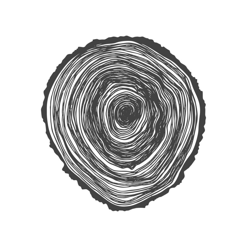 Wooden cross section. Vector wood texture wavy ring pattern of a slice of wood. A wooden stump in shades of grey is isolated on white. Vector illustration. Cross-section tree background