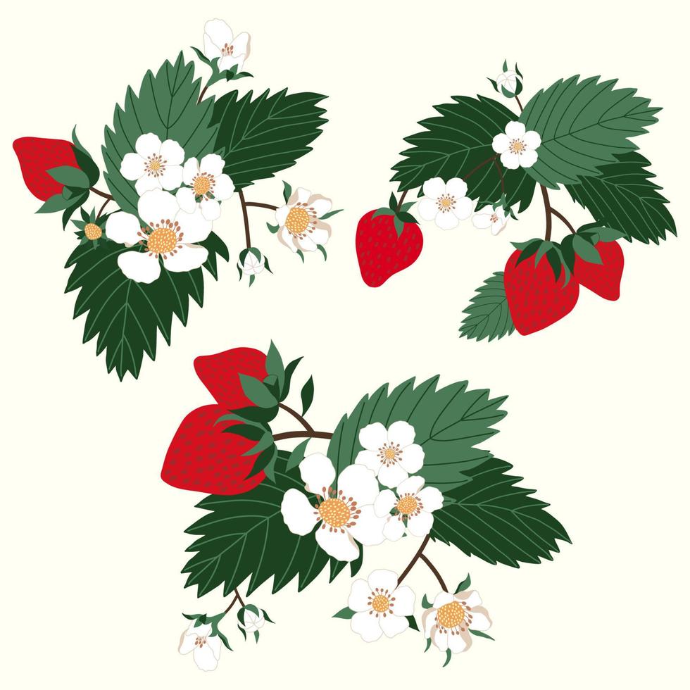 ilustración de campo de flores de fresa vector