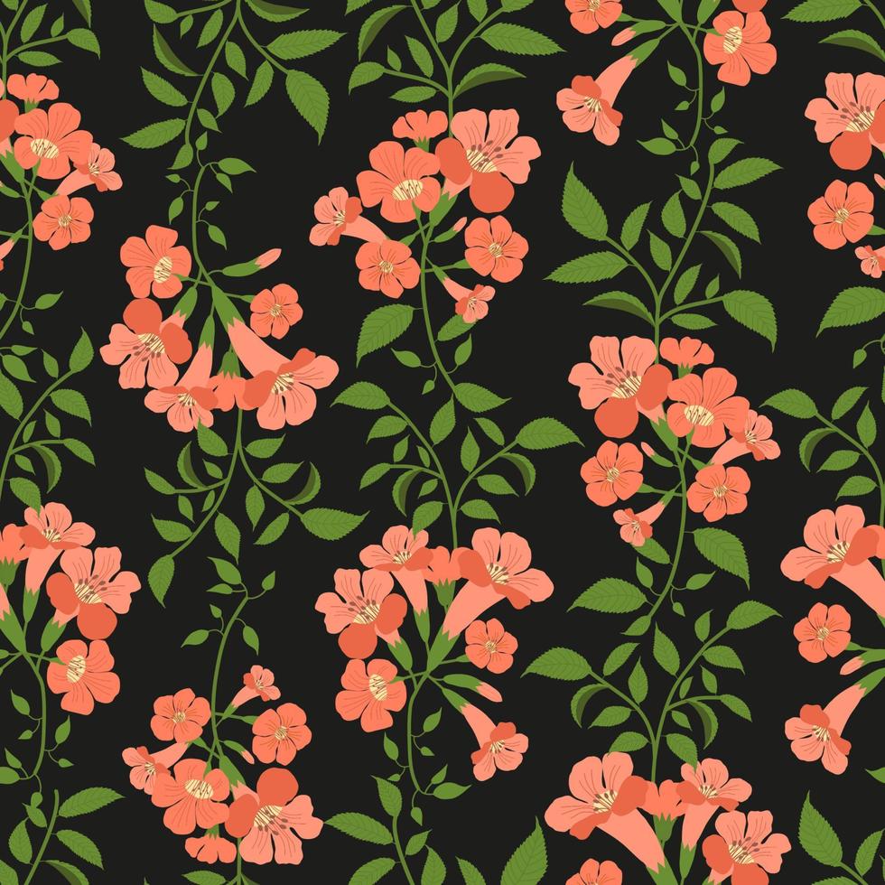 Trumpet vines flowers seamless pattern in dark background vector