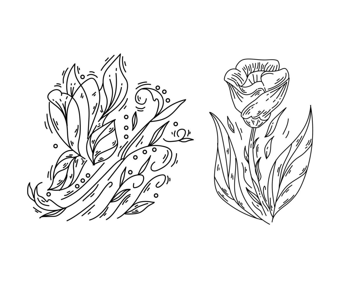 Set of flower nature ornament vector black outline sketch