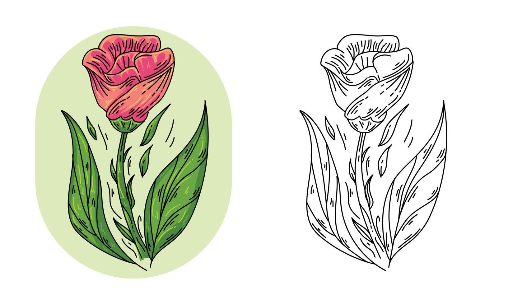 hand drawn flower nature vector