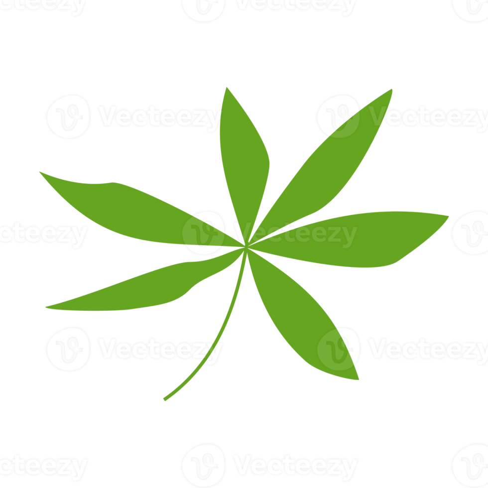 Simple leaf illustration for nature design element png