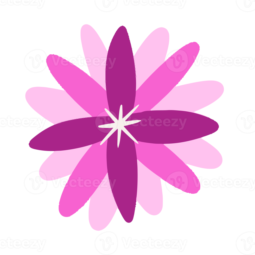 Beautiful flower illustration for design element png