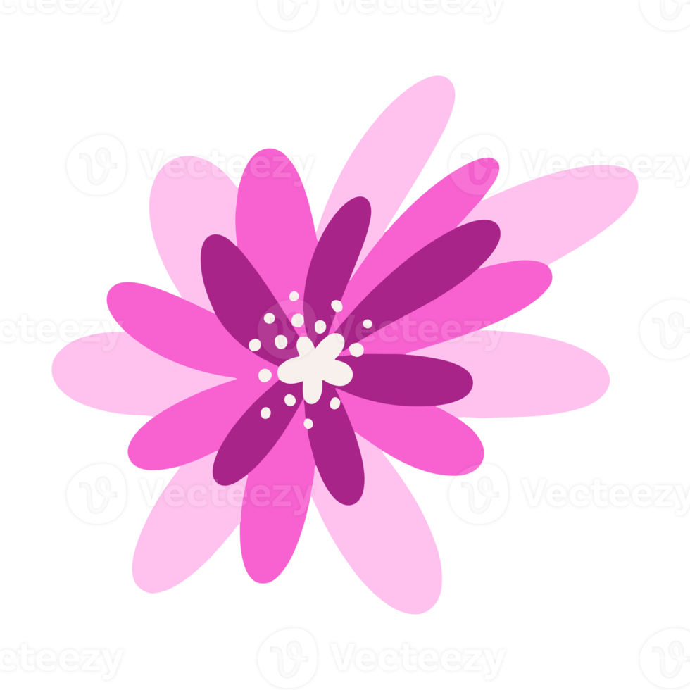 Beautiful flower illustration for design element png