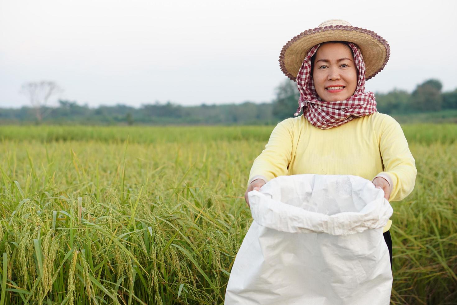 Happy Asian woman farmer is at paddy field, wears hat, yellow shirt,Thai loincloth covers  head, holds white sack of organic fertilizer, confident. Concept, farmer satisfied in product for agriculture photo