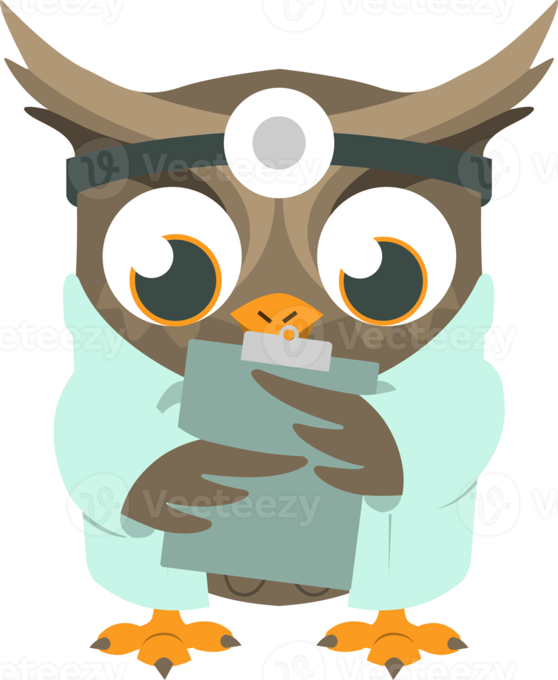 docteur hibou lecture illustration png