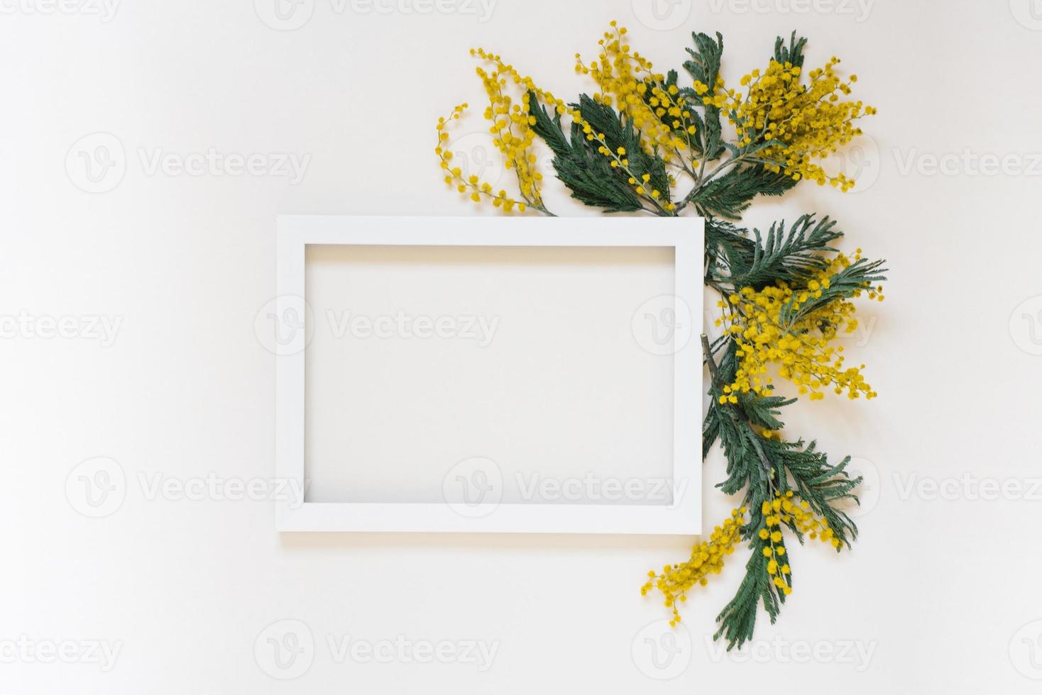 Empty white frame and yellow mimosa flowers on a white top view background with space to copy. Mockup flat lay photo