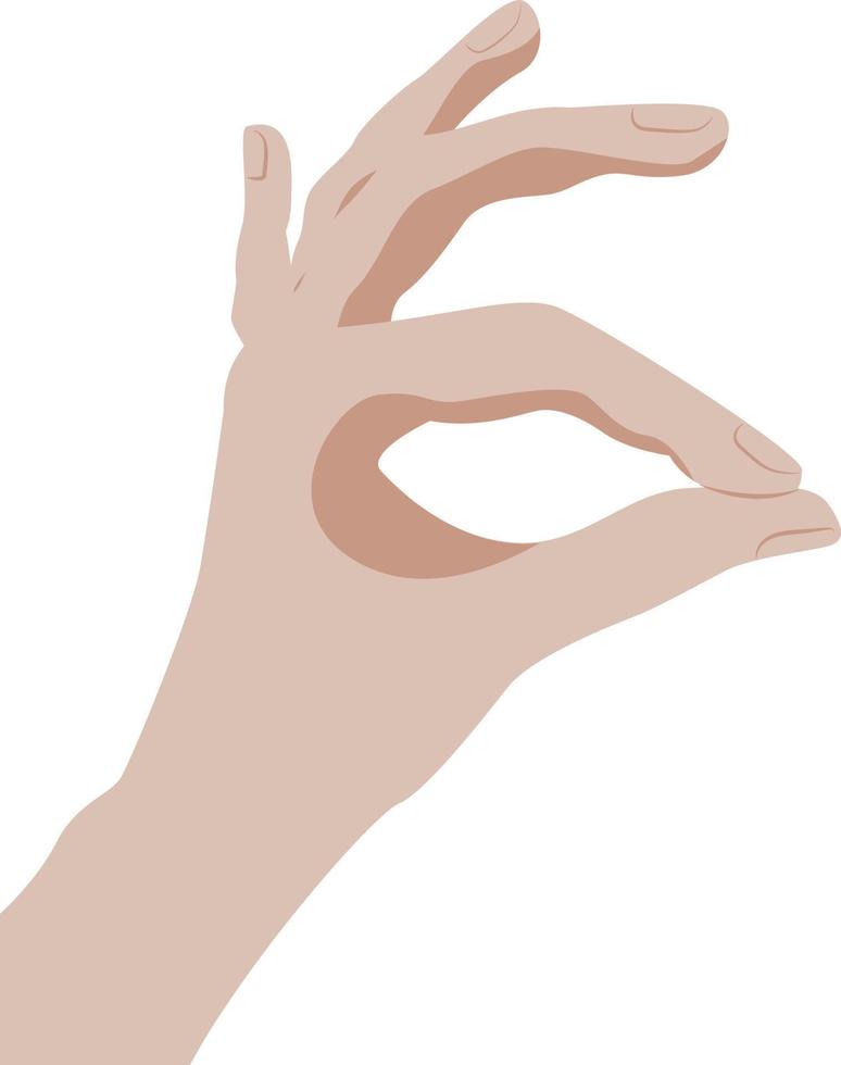 Vector hand showing ok gesture isolated on white background