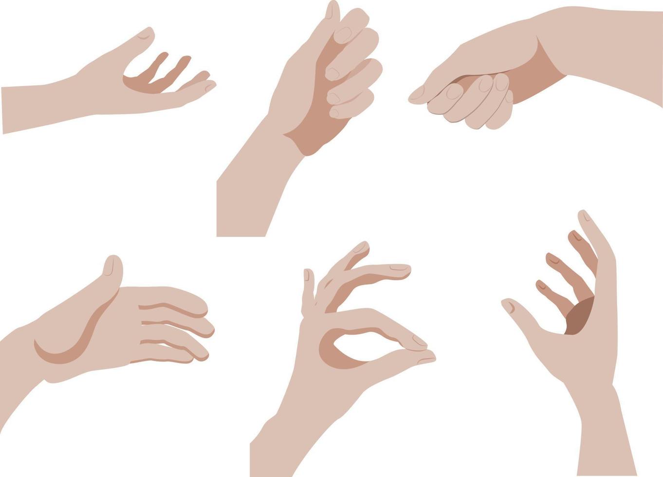 Vector set of various hand gestures, isolated on white background