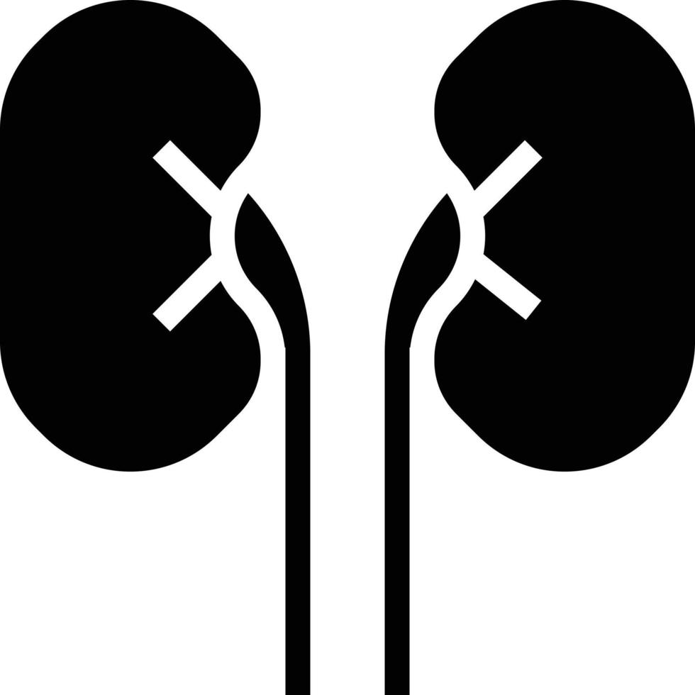 kidney organ healthcare medical - solid icon vector