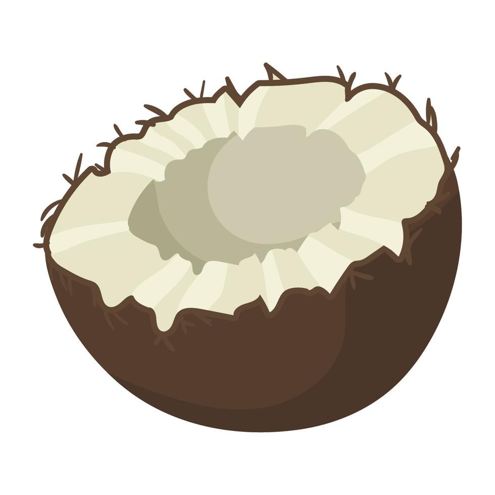 coconut half product vector