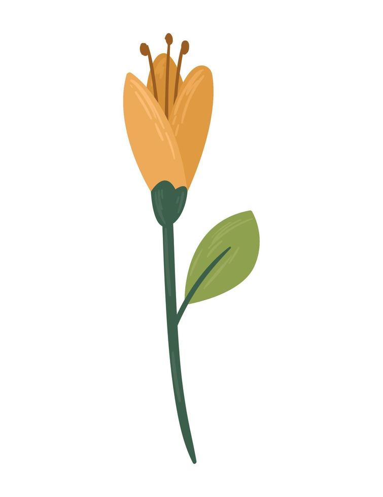 orange flower garden vector