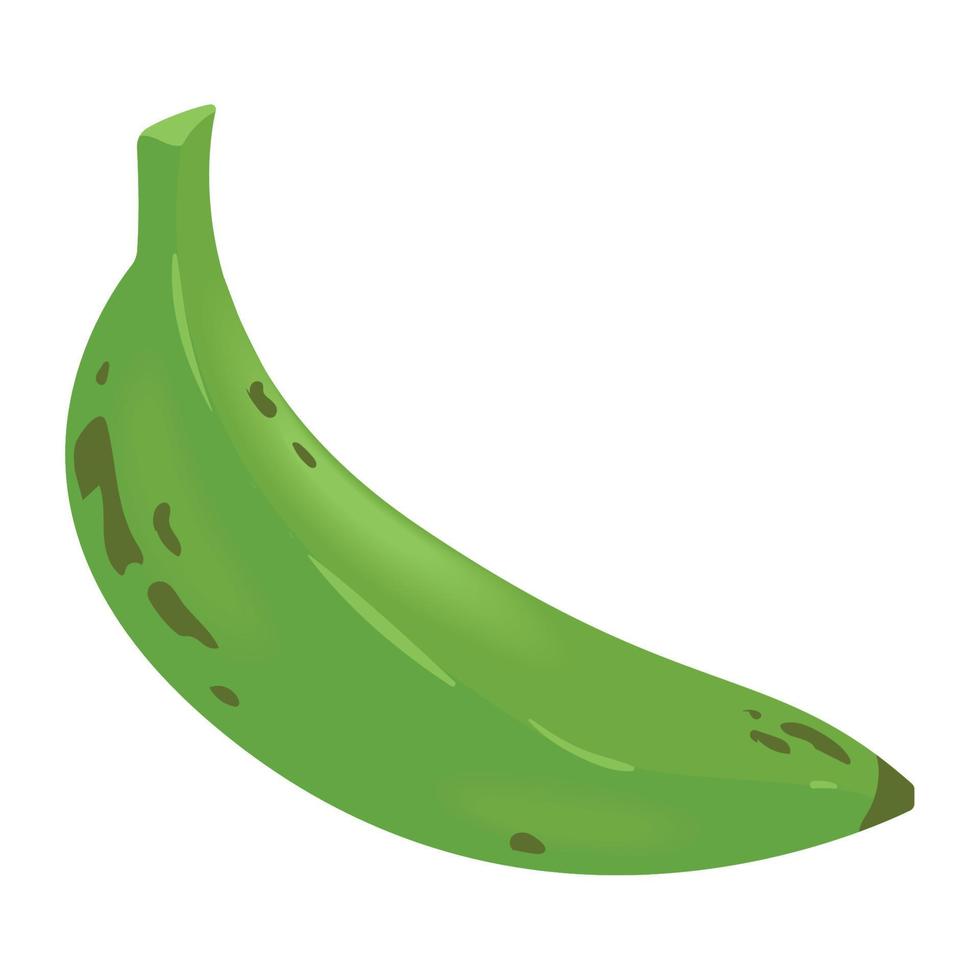 plantain fresh vegetable vector