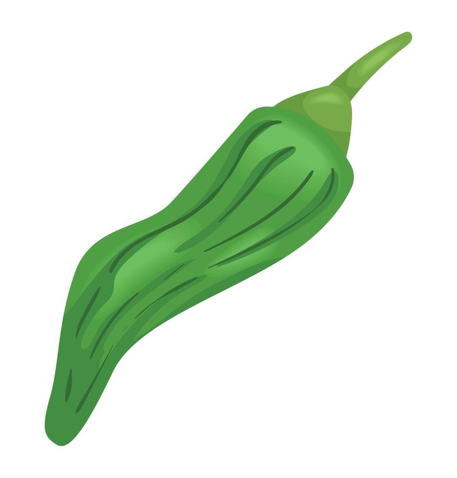green chili pepper vegetable vector