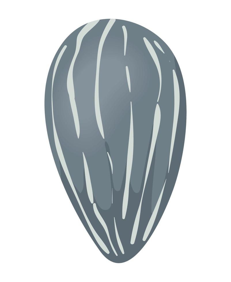 sunflower seed organic vector