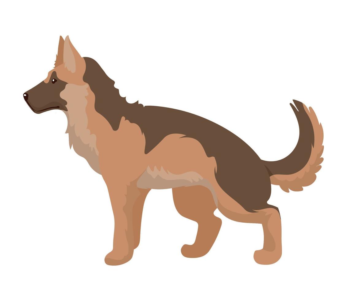 German shepherd dog mascot domestic vector