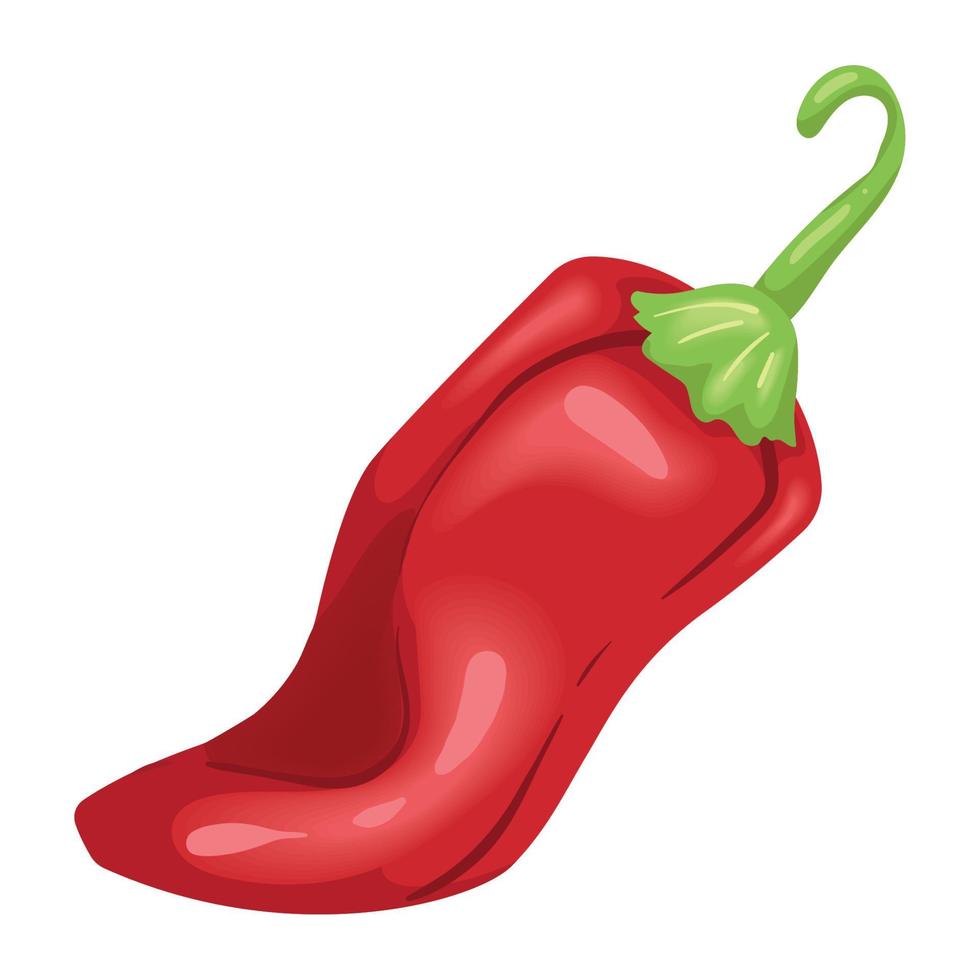 red chili pepper vegetable vector