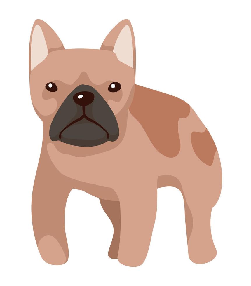 pug perro mascota domestico vector