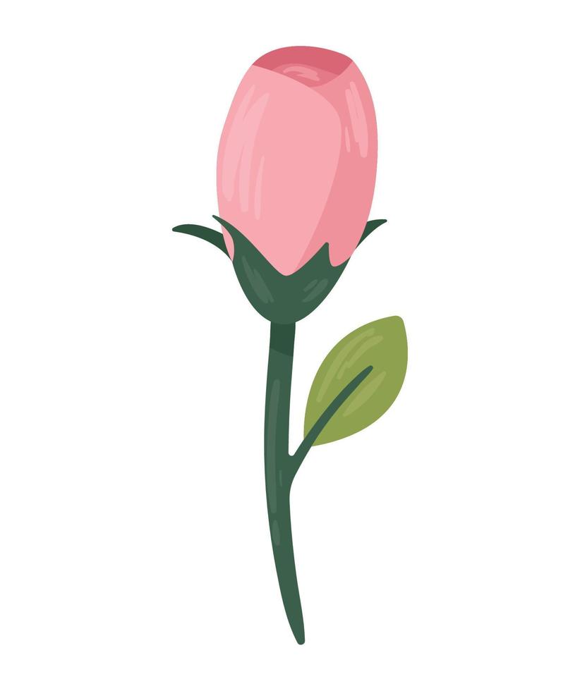 pink rose flower garden vector