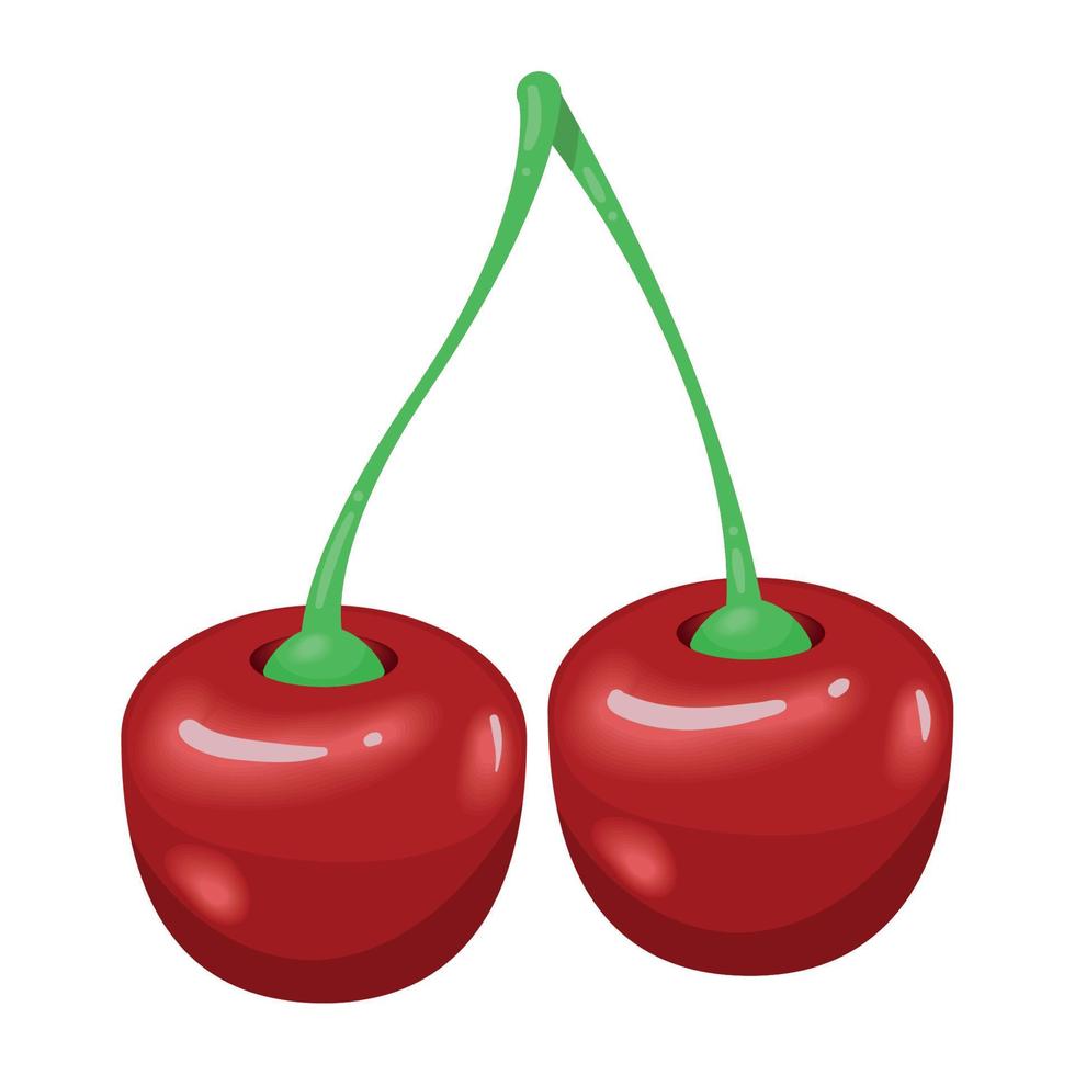 fresh cherry fruit healthy vector