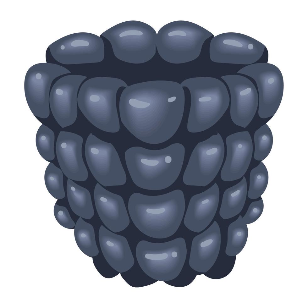 fresh grape fruit healthy vector