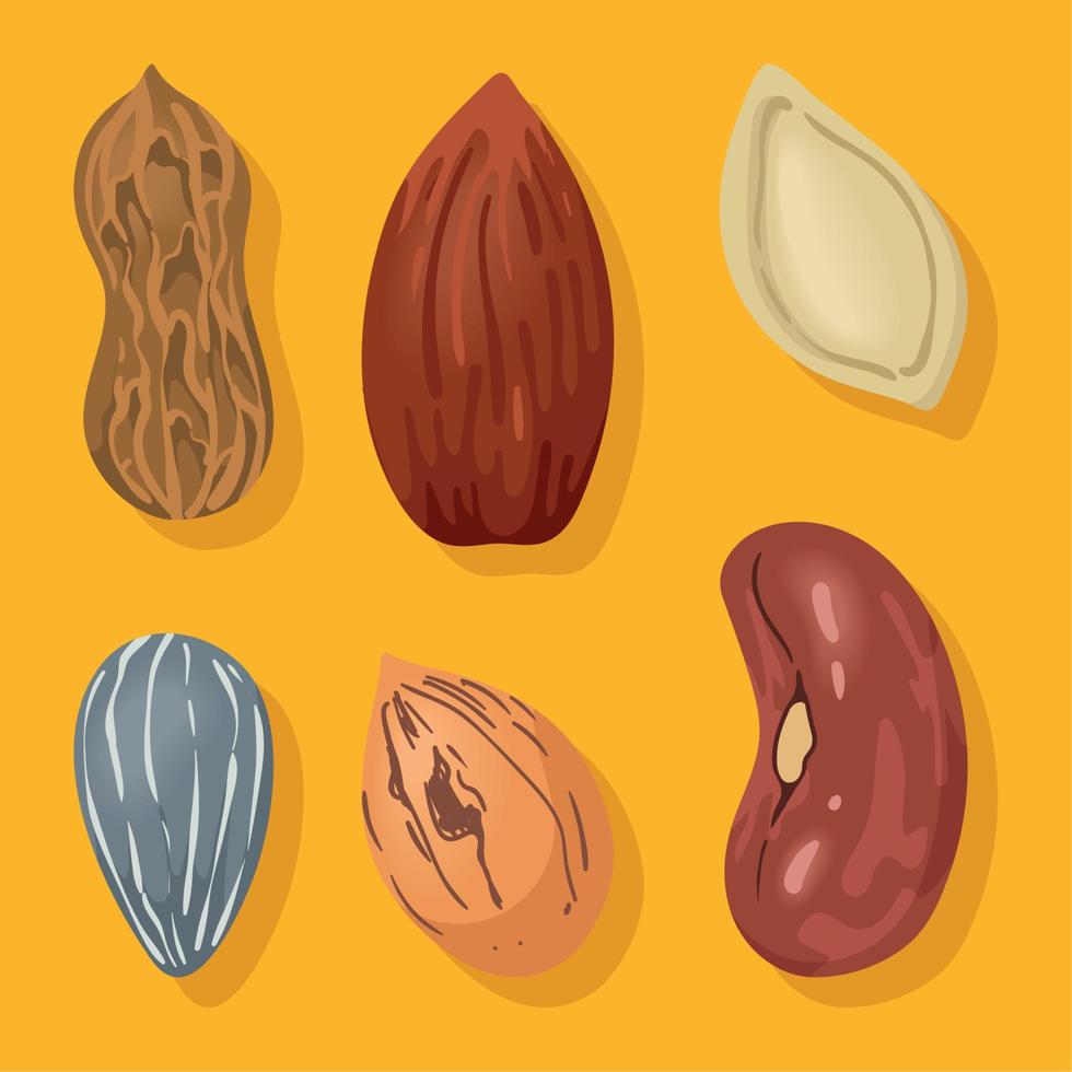 six nuts snacks icons vector